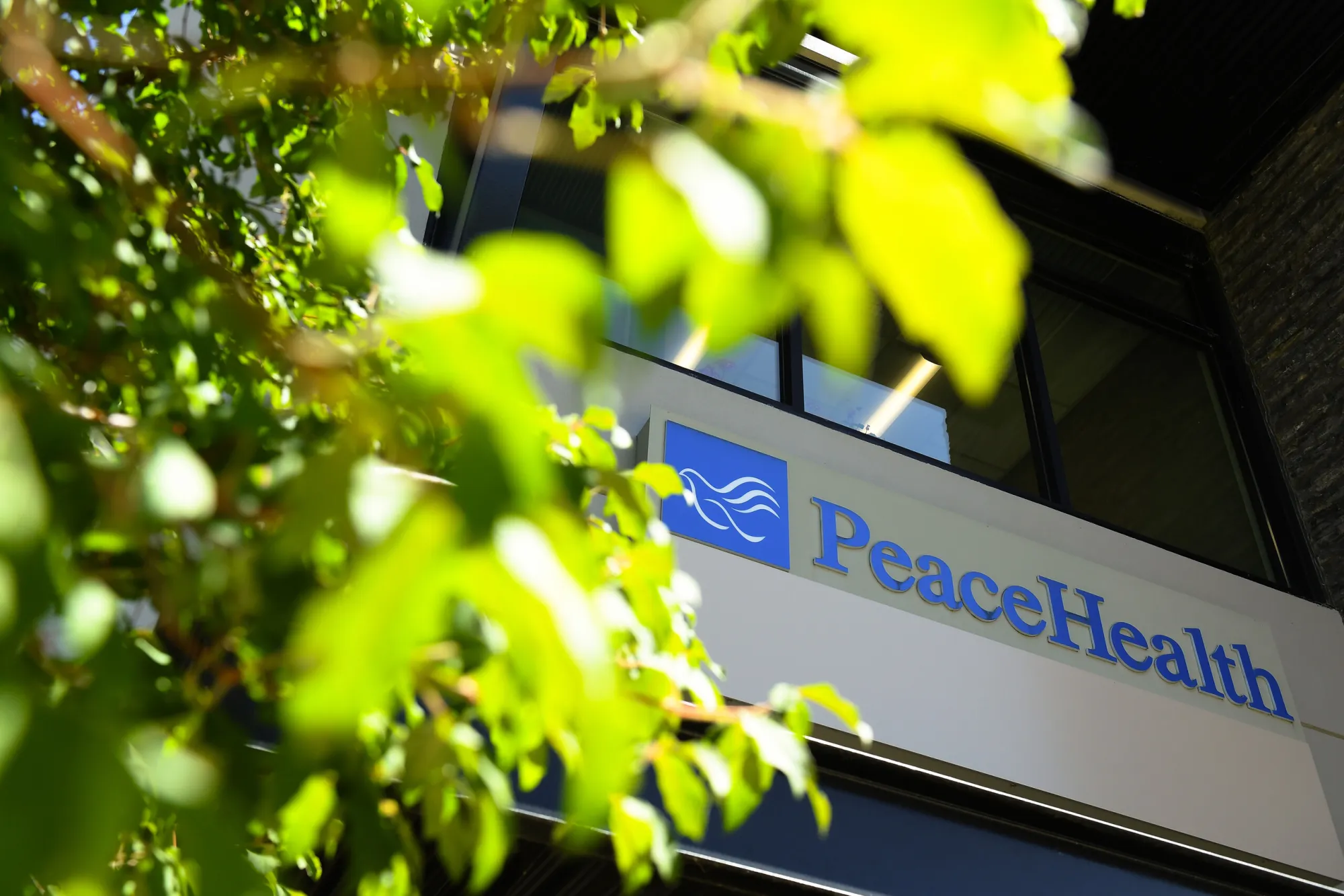 PeaceHealth Clinicians to Participate in Medicare Value-Based Care Programs Supported by Honest Health